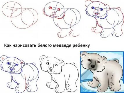Рисуем медведя поэтапно
