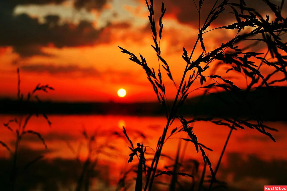 Кровавый закат. Красный закат. Пылающий закат 30 апреля 2023. Пламенный закат. Огненный закат.