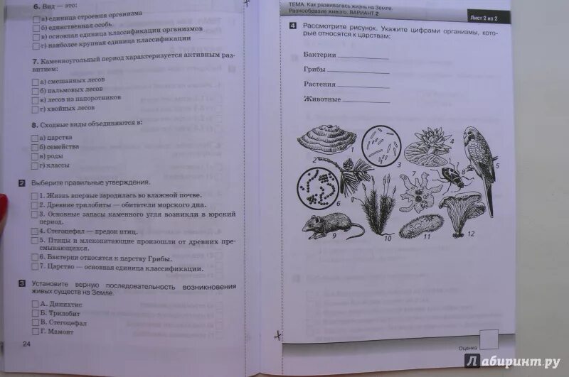 Тесты к учебнику пасечника 5 класс. Тест по биологии 5 класс. Биология 5 класс тесты. Тесты по биологии 5 класс к учебнику Пасечника ФГОС. Тесты по биологии 5-6 класс Пономарева.