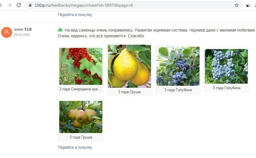 Каталог питомника никитенко