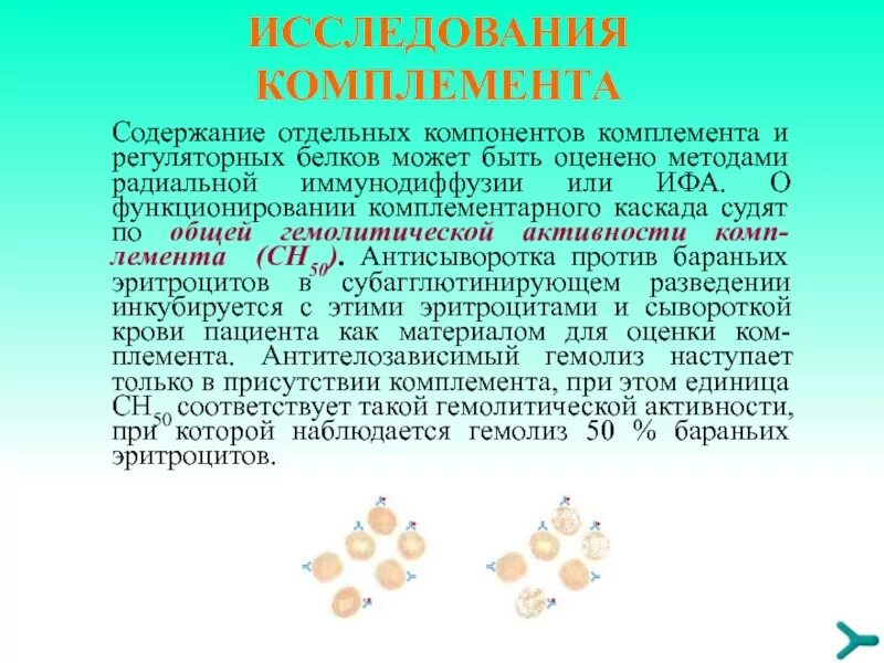 Комплемент сыворотки крови. Сн50 компонент комплемента. Методы изучения системы комплемента. Методы определения активности системы комплемента. Определение гемолитической активности комплемента.