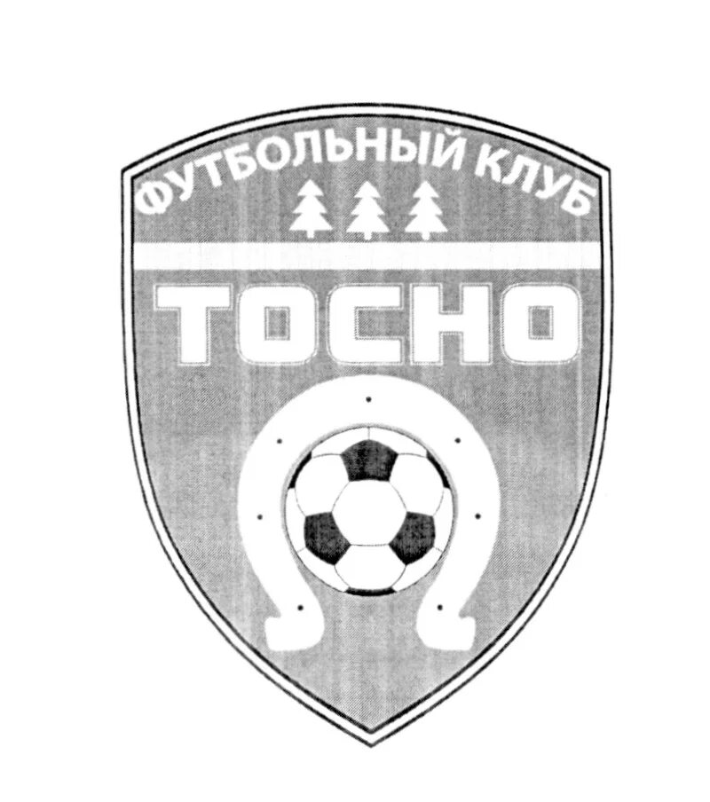 некоммерческая организация футбольный клуб. эмблема сфф сибирь. как организовать футбольный клуб. футбольный клуб в самаре. динамо киров футбольный клуб.