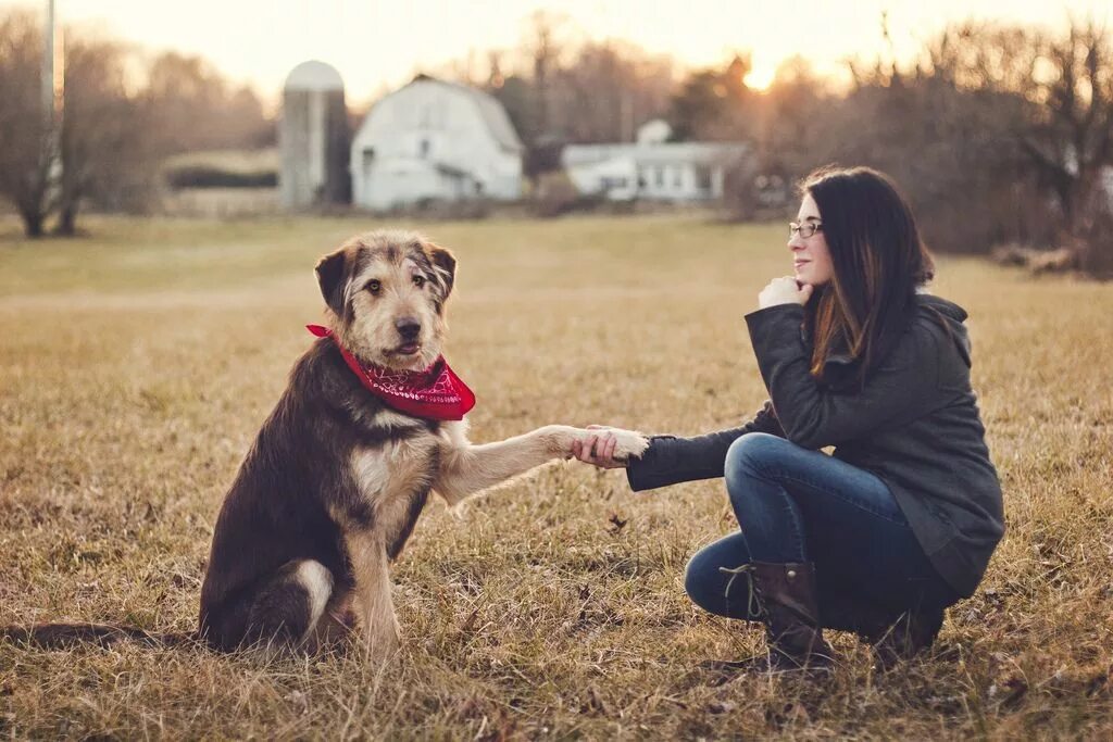 человек преданный идее