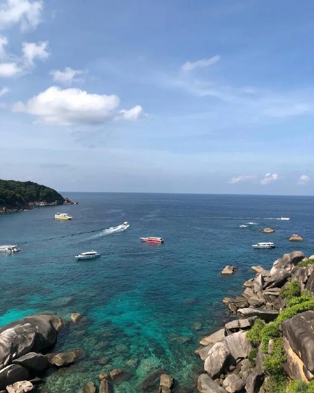 шоу слонов пхукет фантазия. остров пхи-пхи таиланд фаер шоу. Simon шоу таиланд. Simon cabaret phuket официальный сайт. концерты на пхукете в январе.