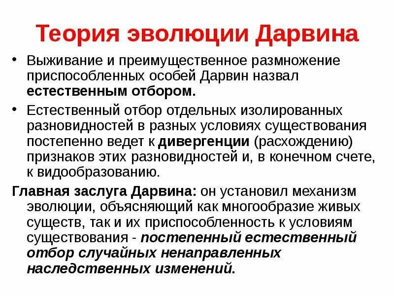 Суть гипотезы эволюции. Теория эволюции Дарвина кратко. Учение Чарльза Дарвина кратко. Теория Чарльза Дарвина кратко.