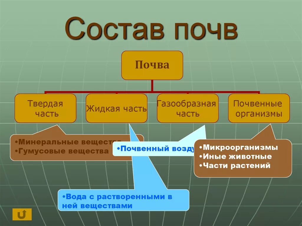 Состав почвы. Основные компоненты почвы. Почва состав почвы. Основные элементы состава почвы:.