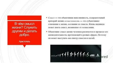 Как вы понимаете смысл счастья