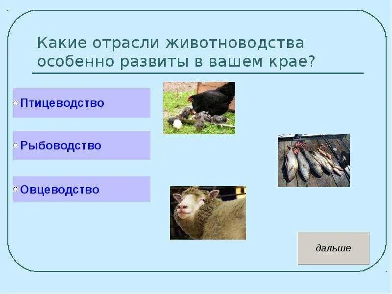 Окружающий мир тест на тему животноводство. Какие отрасли животноводства особенно развиты. Какие отрасли животноводства развиты в вашем крае. Какие отрасли животноводства особенно развиты в вашем крае. Доклад отрасли животноводства.