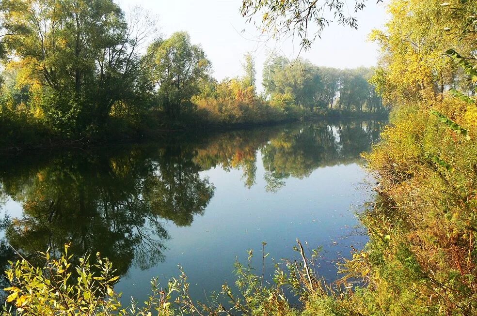 река чапаевка самарская область мост. подвесной мост яблоневый овраг. река чапаевка самарская область мост. река чапаевка самарская область мост. подвесной мост река чапаевка.