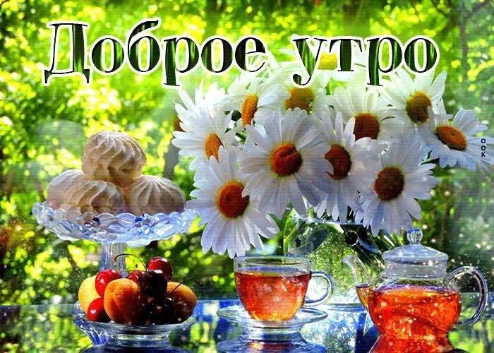 Доброе утро август мерцающие открытки. С добрым утром картинки с пожеланиями. доброе утро счастье. картинки с добрым утром красивые необычные. доброе утро отличного дня новые открытки.