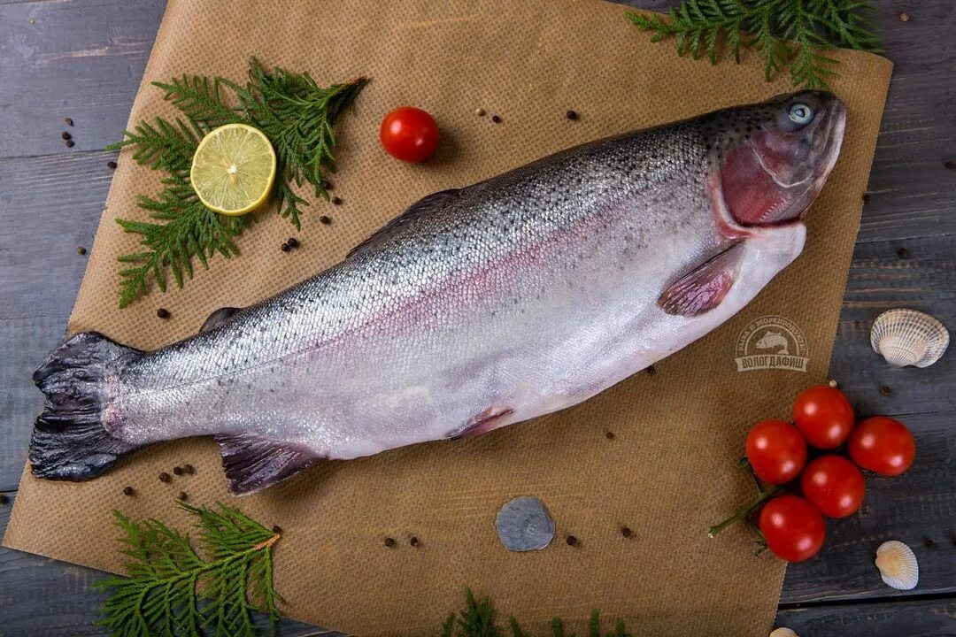 карельская форель непотрошеная. много форели. 5 кг. форель карелия фото. форель из карелии иваново.