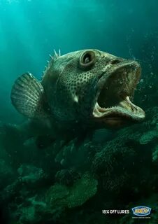 Call fish