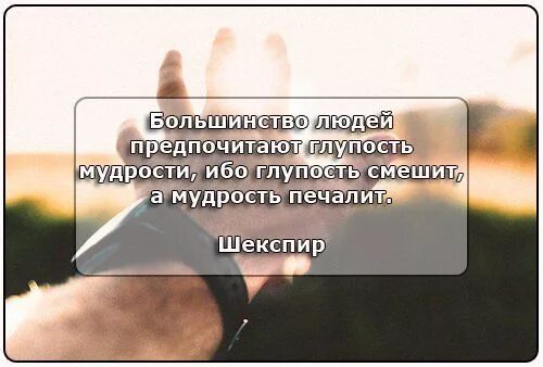 Большинство предпочтут глупость мудрости. Большинство людей глупые. Мудрость и глупость. Мудрые высказывания о глупых людях. Высказывания шекспира.