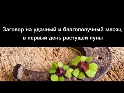 Первый день растущей