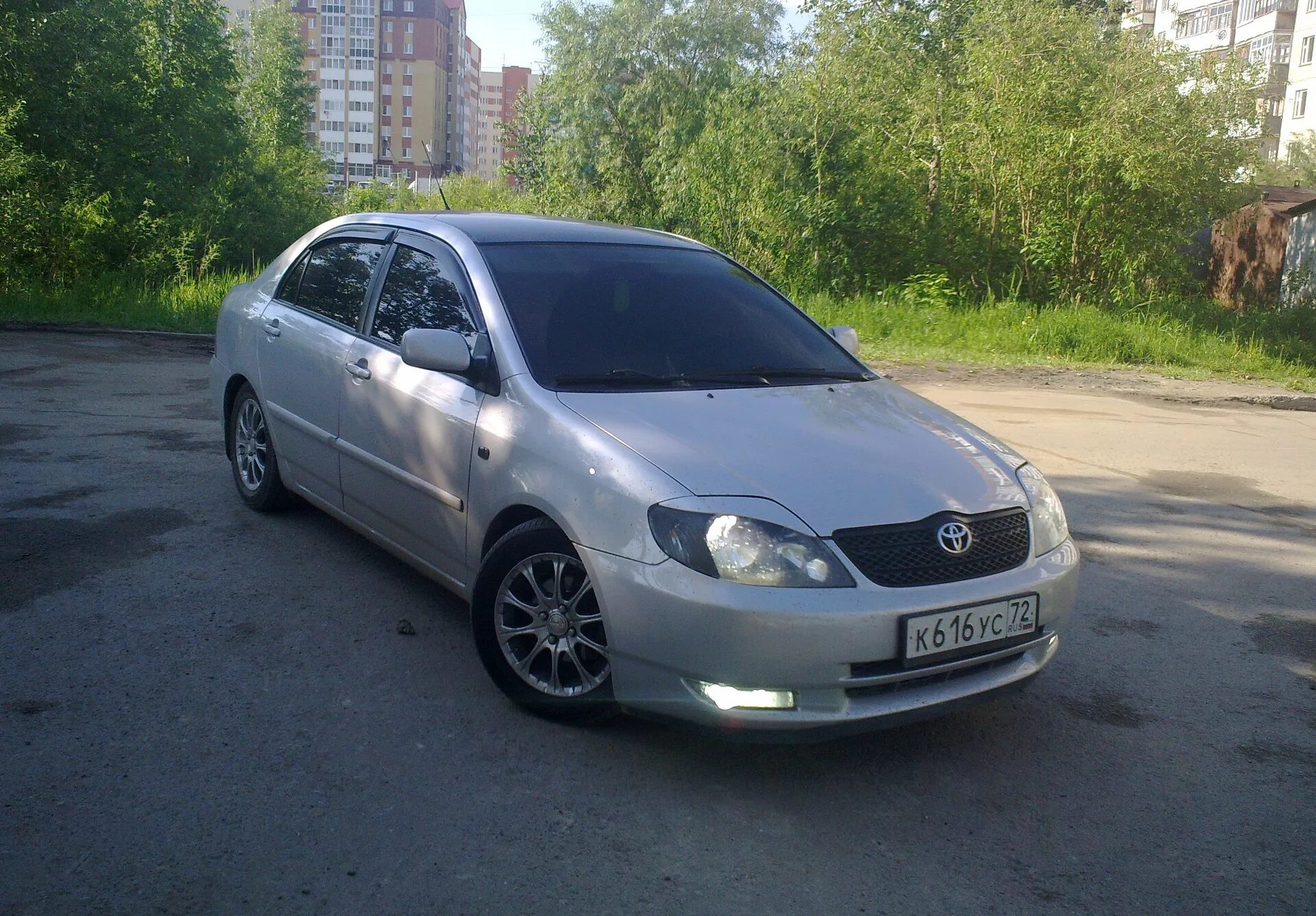 Тойота королла 120 омск купить. Тойота Королла кузов е120. Toyota Corolla 120 кузов. Тойота Королла е120 седан. Тойота Королла 120 кузов хэтчбек.