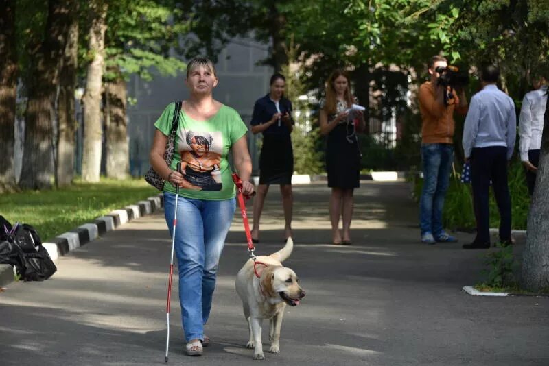 Великие слепые люди. Собака поводырь. Человек с собакой поводырем. Слепые люди. Собака поводырь для слепых.