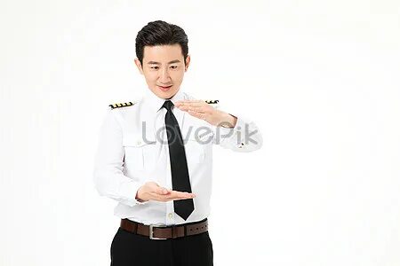 Pilot dl