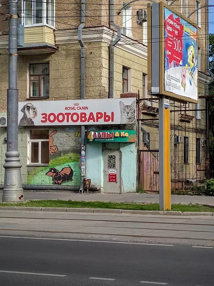 Лапки пермь. Четыре лапы пермь. белинского 55 пермь. 4 лапы и ко пермь. дом белинского 55 пермь.