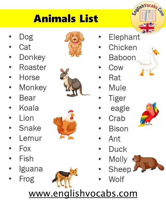 Animals translate