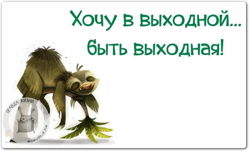 Хочется выходных. Статусы про выходные прикольные. Приколы про выходные в картинках. Смешные статусы про выходные. Статусы про наступающие выходные.