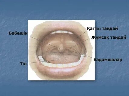 Вукуда Иннамен анальды секс видеолары