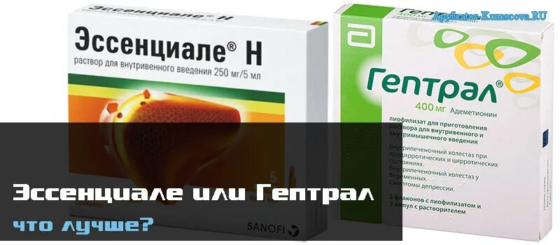 Гептрал и урсосан можно одновременно. Эссенциале форте и гептрал. Эссенциале ампулы. Гептрал или Эссенциале. Эссенциале Введение внутривенно.