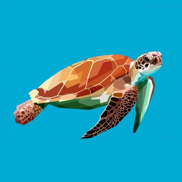 Floating turtle
