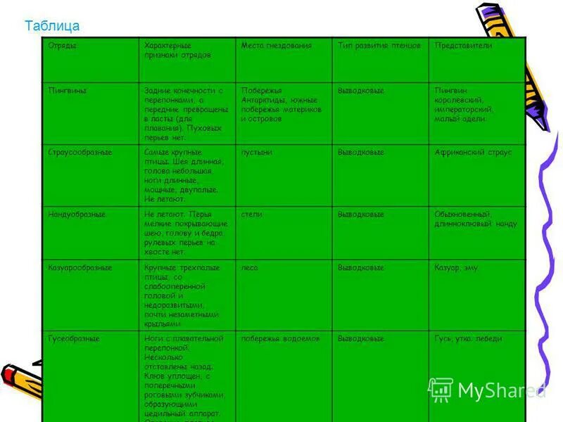Многообразие птиц таблица. Отряды птиц таблица 7 класс биология. Таблица птицы 7 класс биология отряды птиц. Таблица отряды птиц признаки отрядов представители. Название отряда птиц 7 класс биология таблица.