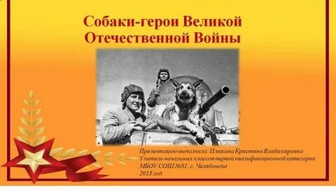 Животные герои великой отечественной