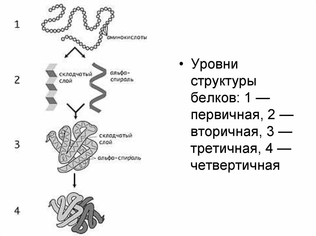 Детские смеси. Часть 2. О медицине и о прекрасном. Дзен