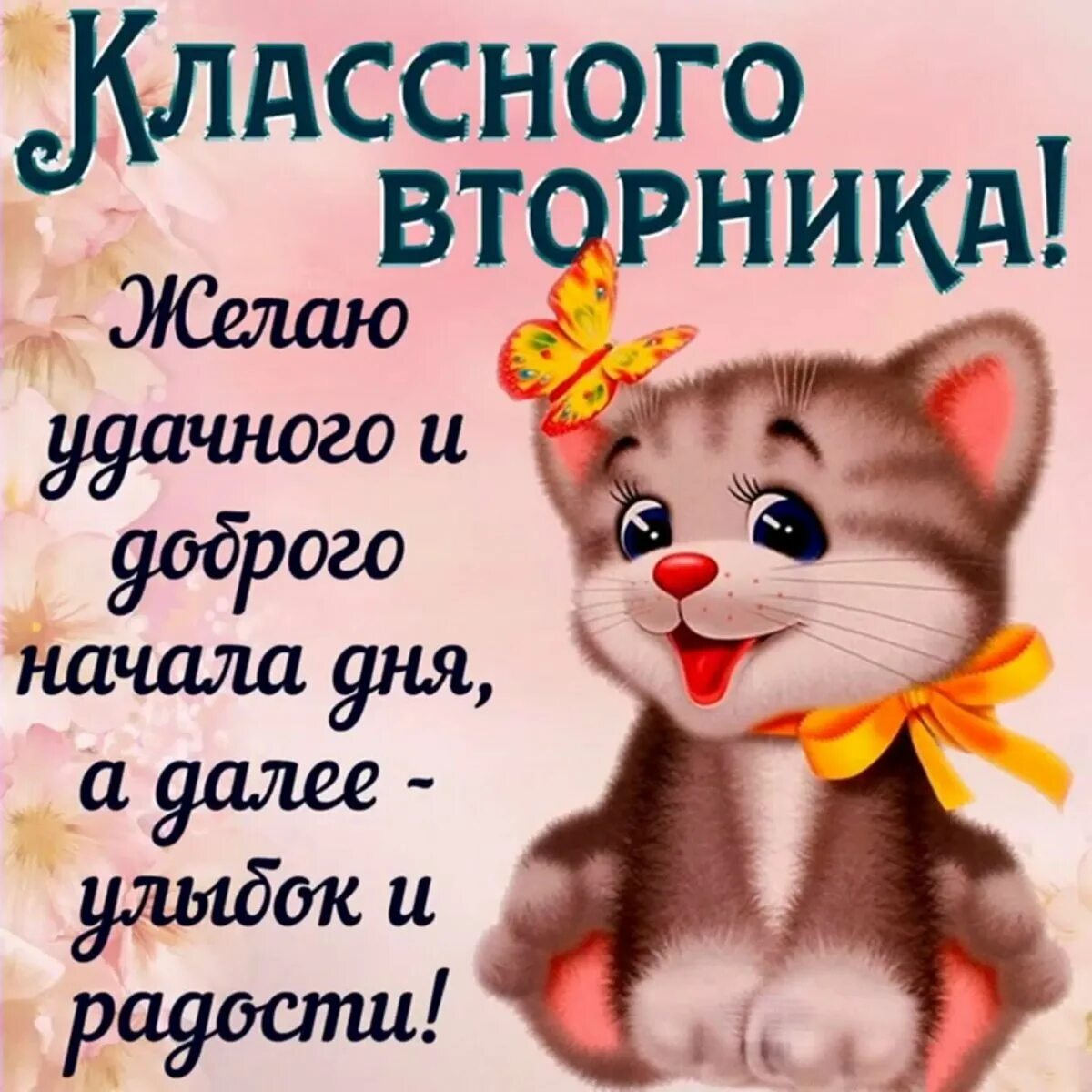 Удачного дня и настроения мужчине. Поздравления со вторником прикольные. Пожелания на вторник. Отличного вторника. Пожелание отличного вторника.