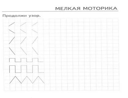 Как пишется моторика