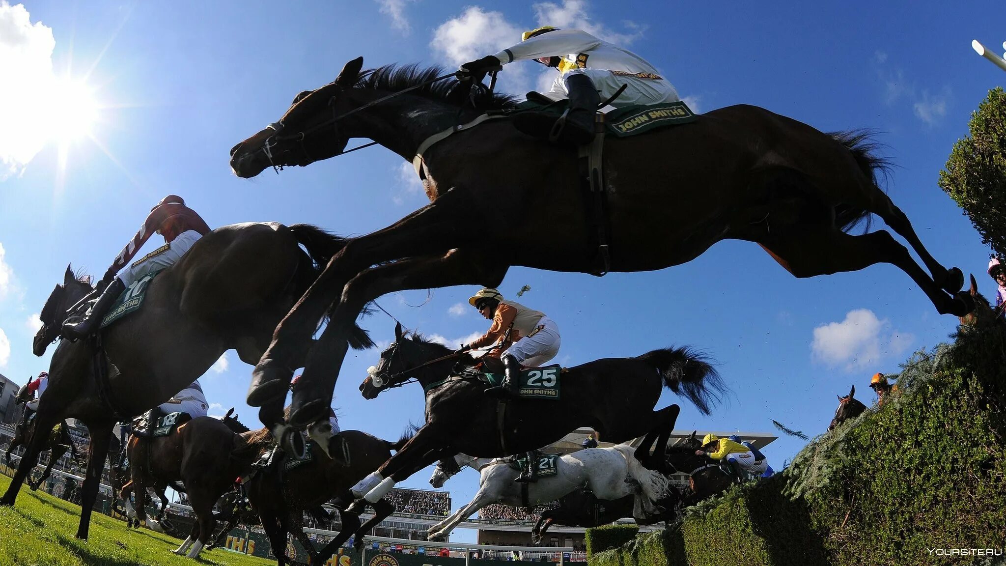 Ливерпульский стипль ЧЕЗ. Grand National Horse Race Великобритании. Стипль-ЧЕЗ конный спорт. Ливерпульский стипль ЧЕЗ препятствия.