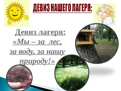 Девиз для лагеря