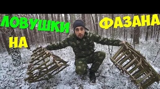 Чертежи ловушки фазана. Живоловушка на фазана. ЛОВУШКА на фазана. Капкан на фазана. Ловля фазана на ловушки