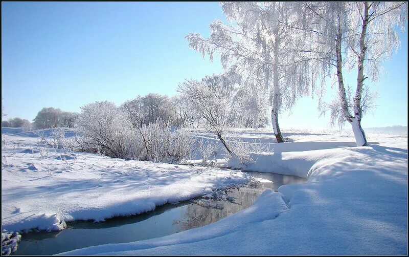 Под голубыми небесами великолепными коврами. Прозрачный лес один чернеет и ель сквозь иней. Блестя на солнце снег прозрачный лес один и ель. И речка подо льдом блестит пушкин. Великолепными коврами блестя на солнце.