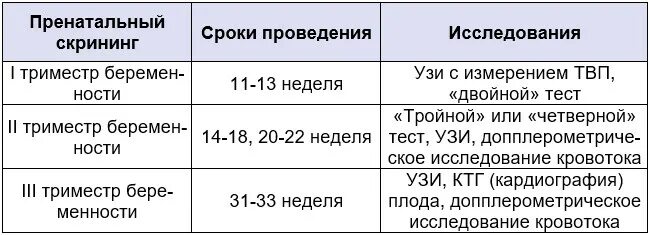 Узи при беременности сколько раз. Скрининги беременности сроки. Скрининг сроки проведения. УЗИ скрининг беременных сроки. Пренатальный скрининг сроки.