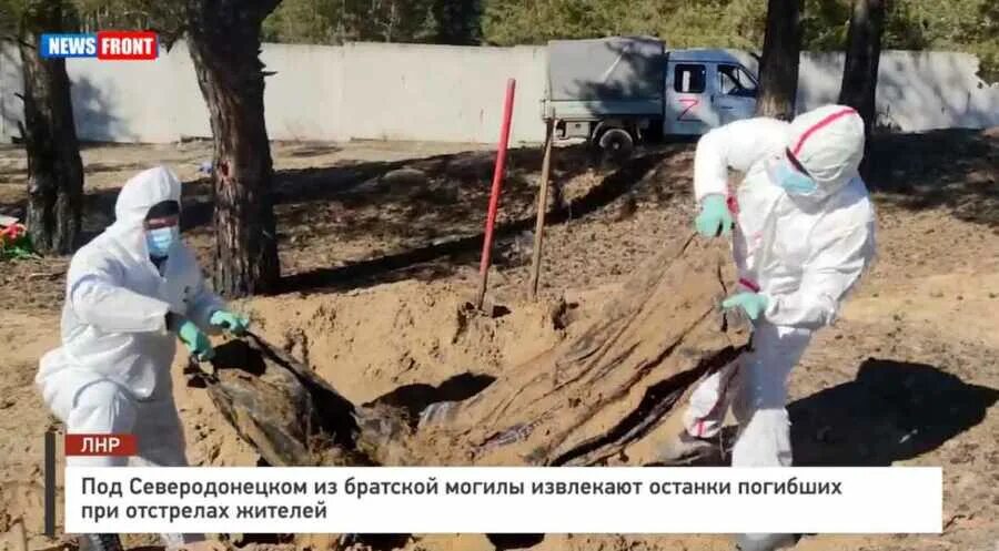 Новости о захоронениях. Захоронения в гатчинском. Новости о захоронениях. Неизвестному солдату. Кладбище.