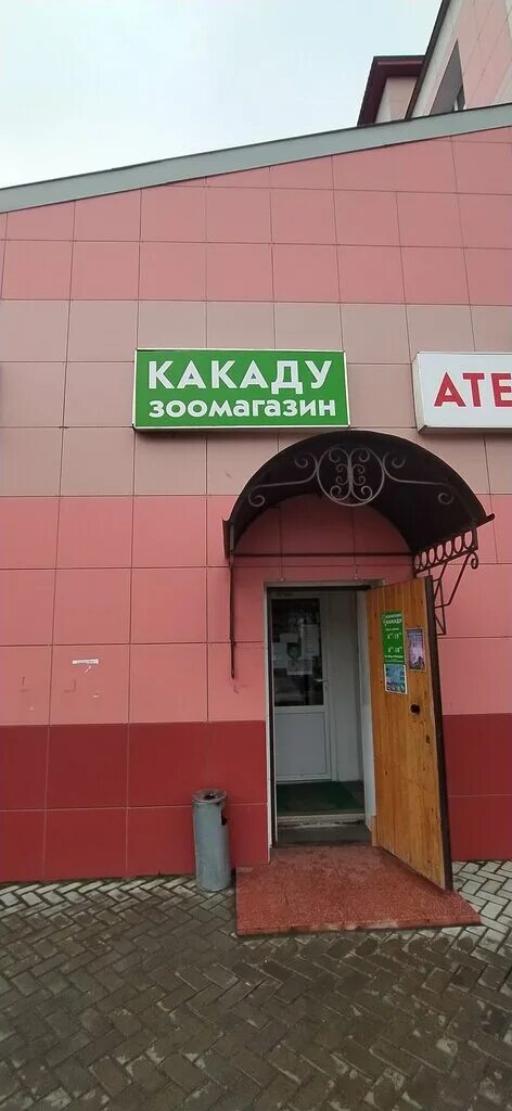 Зоомагазин 40. Зоо40 зоомагазин калуга. Зоомагазин 40. Зоомагазин 40. Зоомагазин 40.