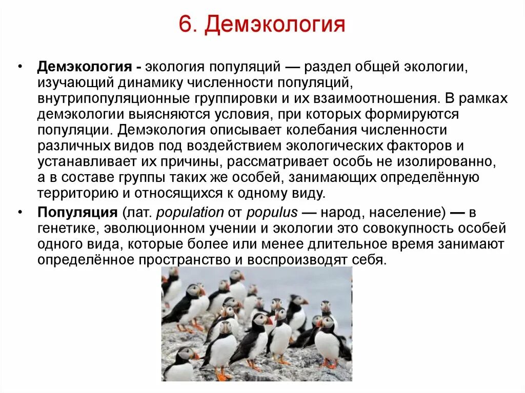 Среди популяции кур из 200 особей 9. Демэкология. Экология популяций это демэкология. Популяция это. Демэкология изучает.