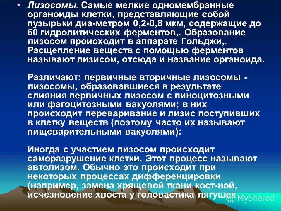 Образование ферментов происходит в процессе