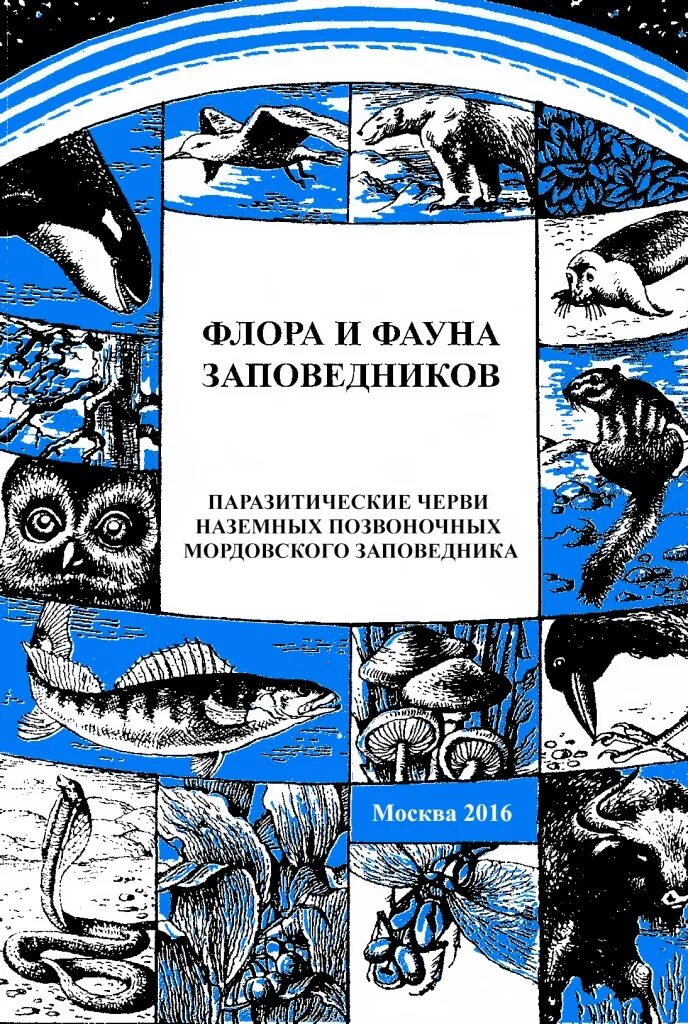 Орнитология 2 териология 3 герпетология 4 зоология. Книги о флоре и фауне. Два заповедника книга.