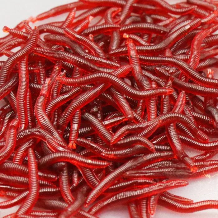Ловля червей. Силиконовые приманки навозные черви. Черви красный мотыль для рыбалки. Навозный червь наживка. Красные навозные черви.
