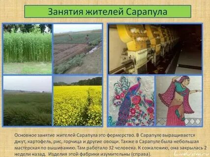 Чем занимаются сельские жители 2 класс