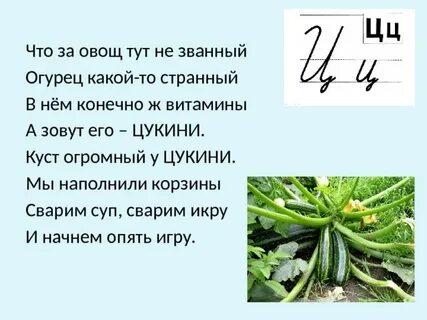 Огородная азбука