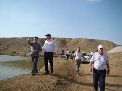 Погода в парауле
