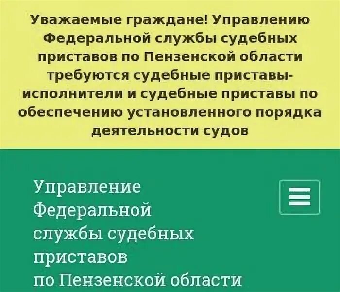 Судебные приставы пензенской области телефон. Пушкина 17а Пенза судебные приставы. УФССП России по Пензенской области. Горина пристав Каменка Пензенской обл.