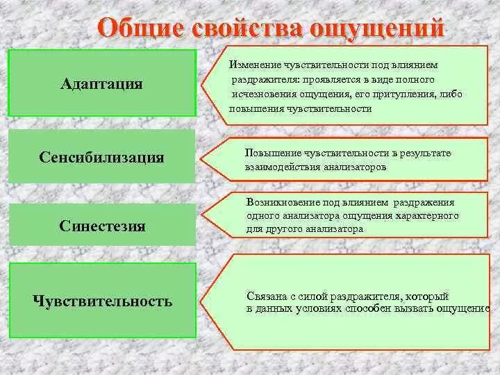 Повышение свойств. Адаптация сенсибилизация синестезия. Основные свойства ощущений ад. Адаптация чувствительности. Свойства ощущений адаптация.