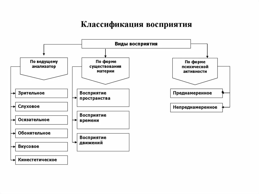 Восприятие структура информации. Классификация восприятия в психологии. Классификация восприятия в психологии кратко. Классификация восприятия по форме существования материи. Классификация форм восприятия в психологии.