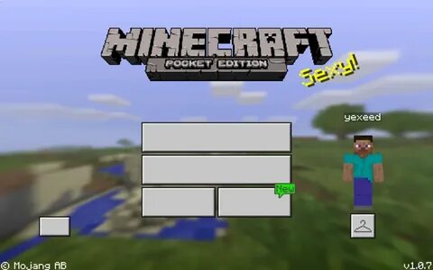 Minecraft support
